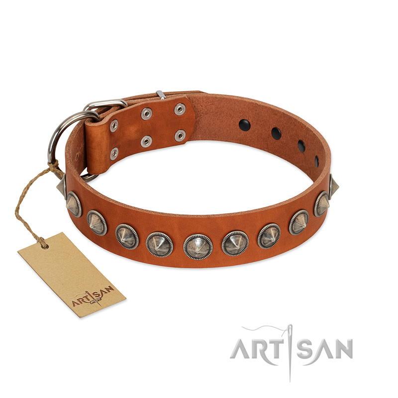 "Silver Spike" Handmade FDT Artisan Tan Leather Dogue de Bordeaux Collar with Old Silver-Like Spikes
