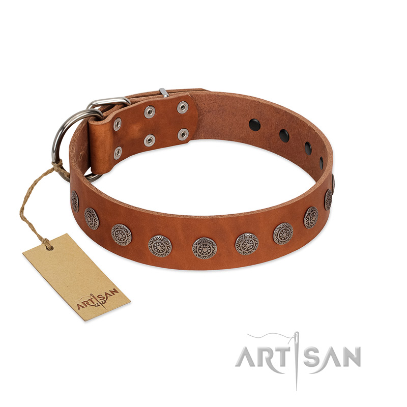 "Lucky Star" Handmade FDT Artisan Designer Tan Leather Dogue de Bordeaux Collar with Round Plates