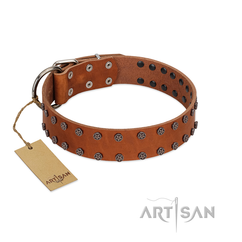 "Star Light" Stylish FDT Artisan Tan Leather Dogue de Bordeaux Collar with Silver-Like Studs