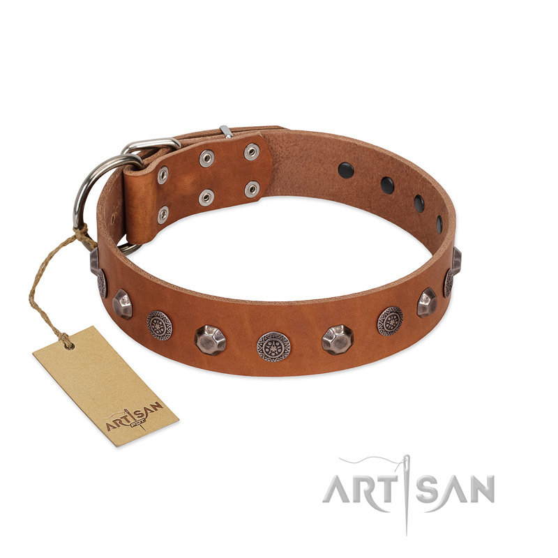 "Silver Age" Fashionable FDT Artisan Tan Leather Dogue de Bordeaux Collar with Silver-Like Studs