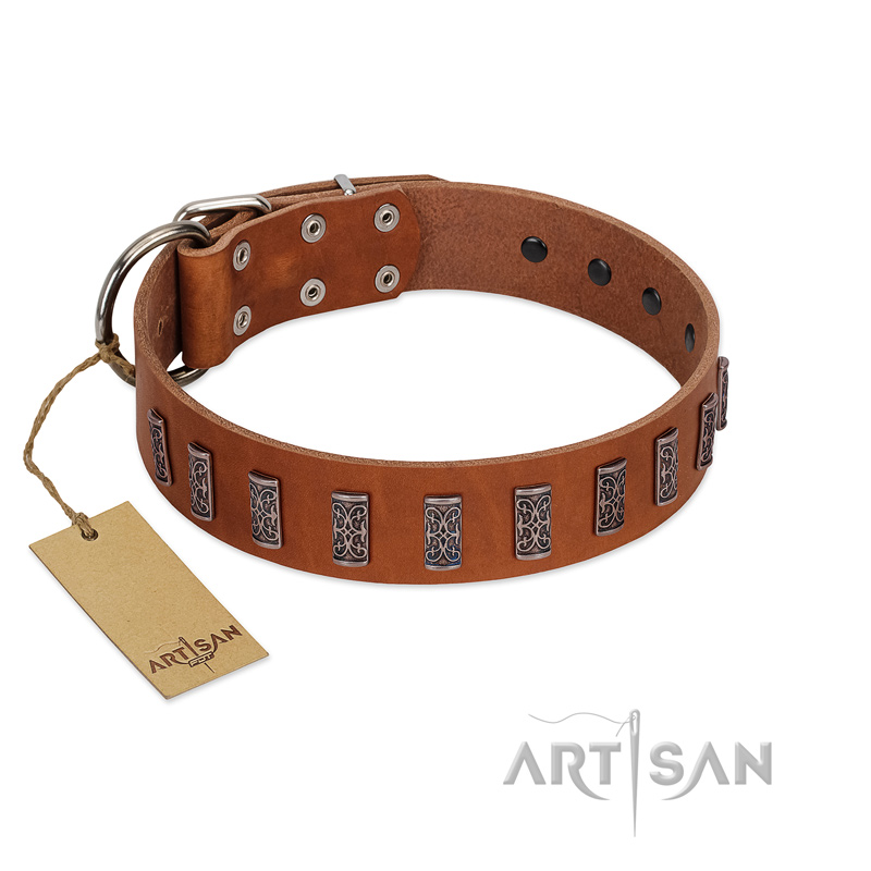 "Silver Century" Fashionable FDT Artisan Tan Leather Dogue de Bordeaux Collar with Silver-Like Plates