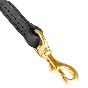Dogue de Bordeaux Leather Leash with Massive Gold-like Snap Hook