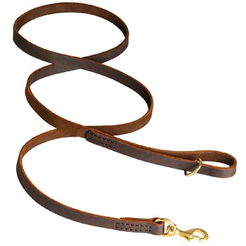 Classic Stitched Leather Dogue de Bordeaux Leash