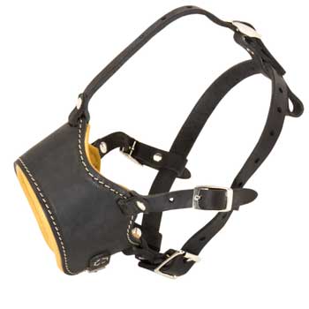 Leather Dogue de Bordeaux Muzzle for No Bark Training Walking